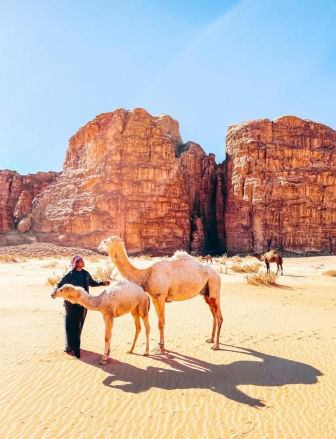 Wadi Rum Tents Zewnętrze zdjęcie